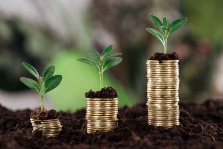 Maximize Tax Efficiency in Dubai: Choose Your Structure
