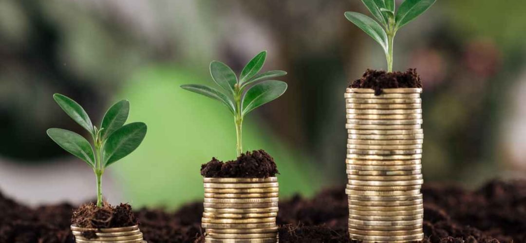 Maximize Tax Efficiency in Dubai